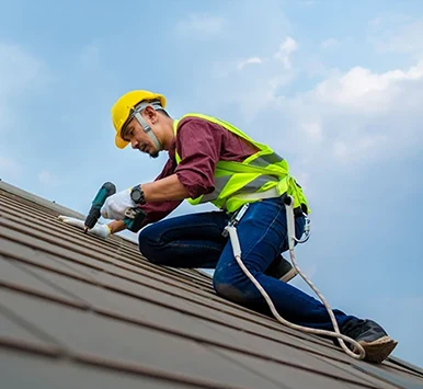 Emergency Services image